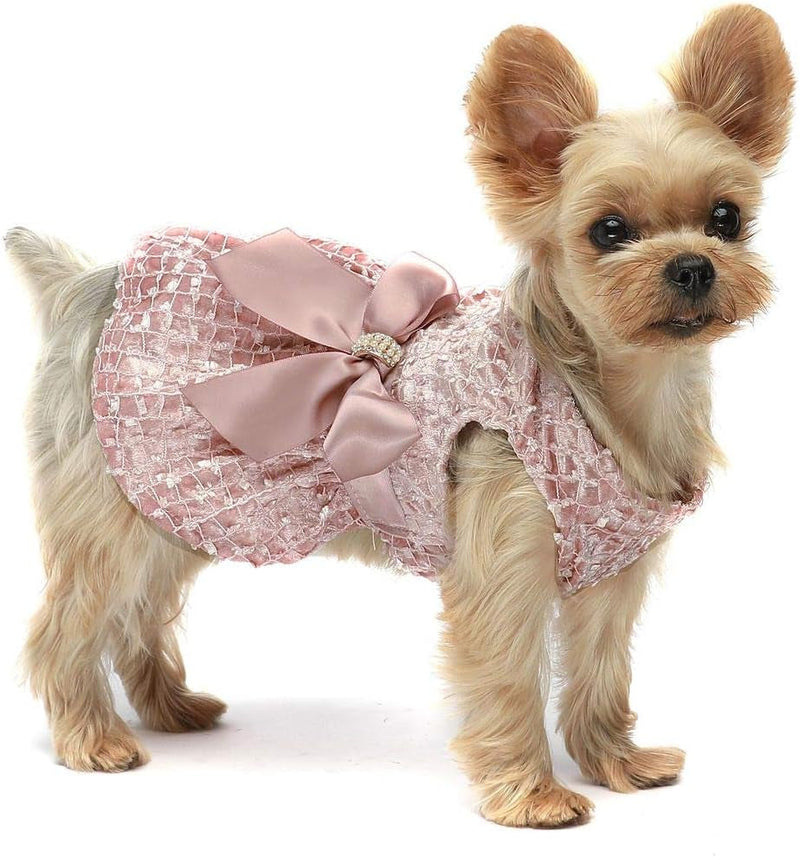 Stylish small dog wearing luxury accessories from Paws For Royalty