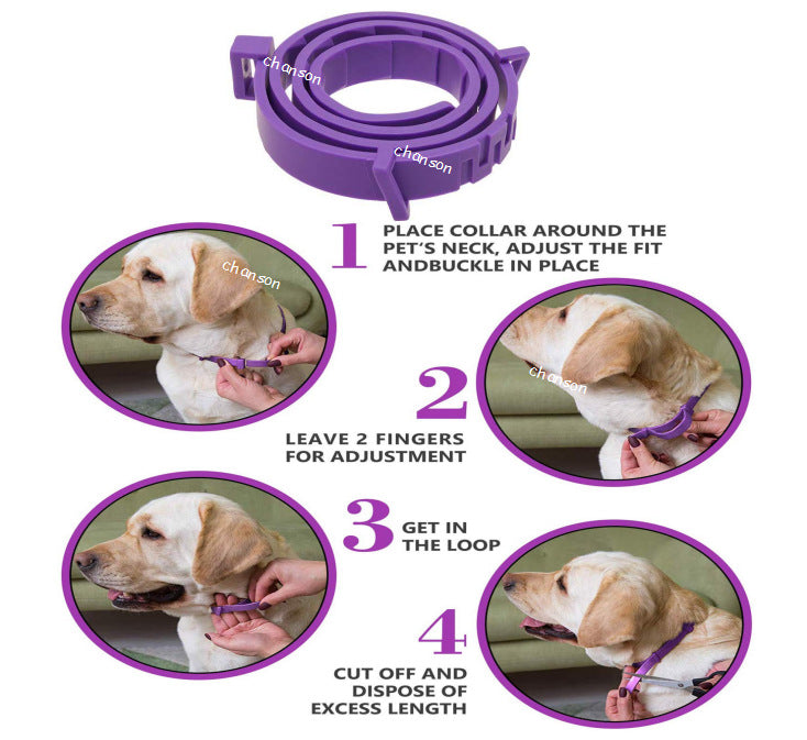 Paws For Royalty calming pet collar featuring an adjustable fit for small to medium dogs and adult cats