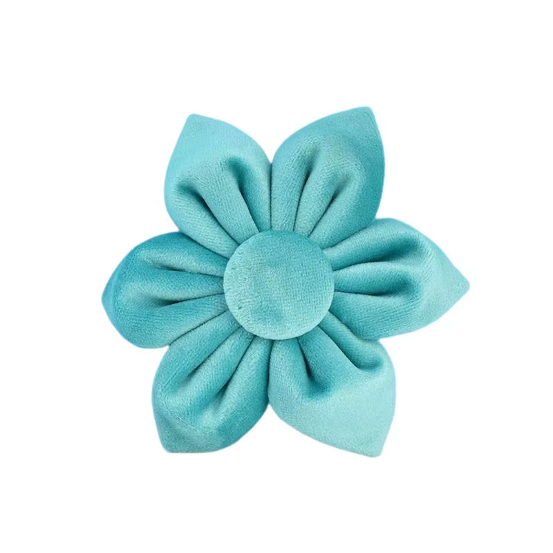 Luxury turquoise velvet dog collar with matching leash for small breed dogs