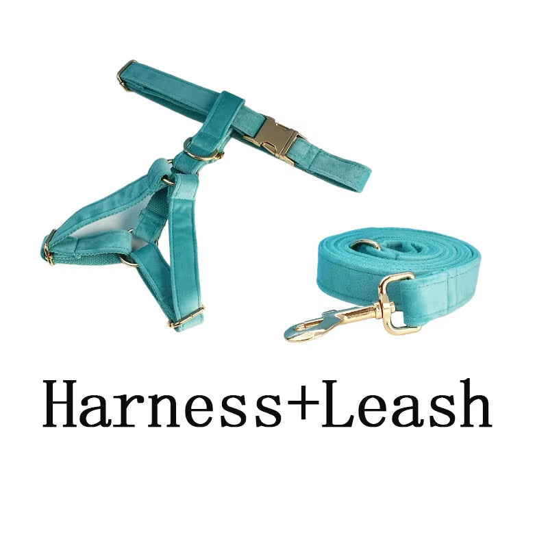 Close-up of the turquoise velvet dog collar showcasing decorative stone accents and luxury craftsmanship