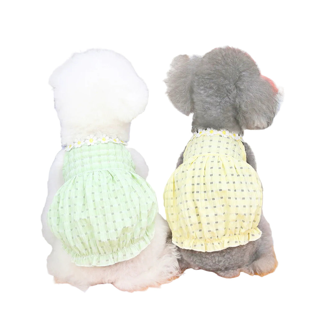 Two small dogs wearing green and yellow Paws For Royalty summer outfits, shown from the back in stylish lightweight dog clothing.