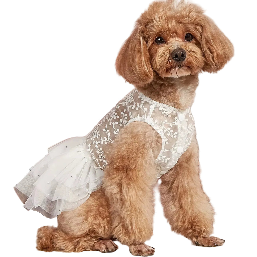Small dog wearing the Paws For Royalty white dog wedding dress shown from the side, highlighting the elegant fit and breathable mesh fabric