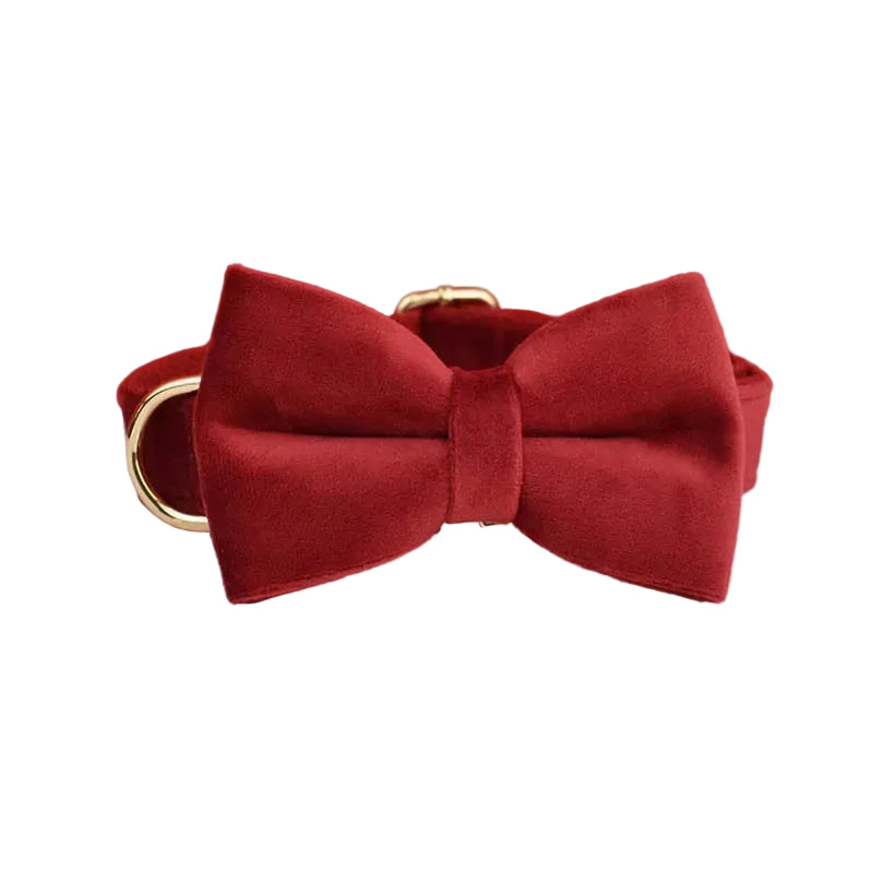 Red velvet dog bow tie accessory designed to pair with the Paws For Royalty personalized dog collar