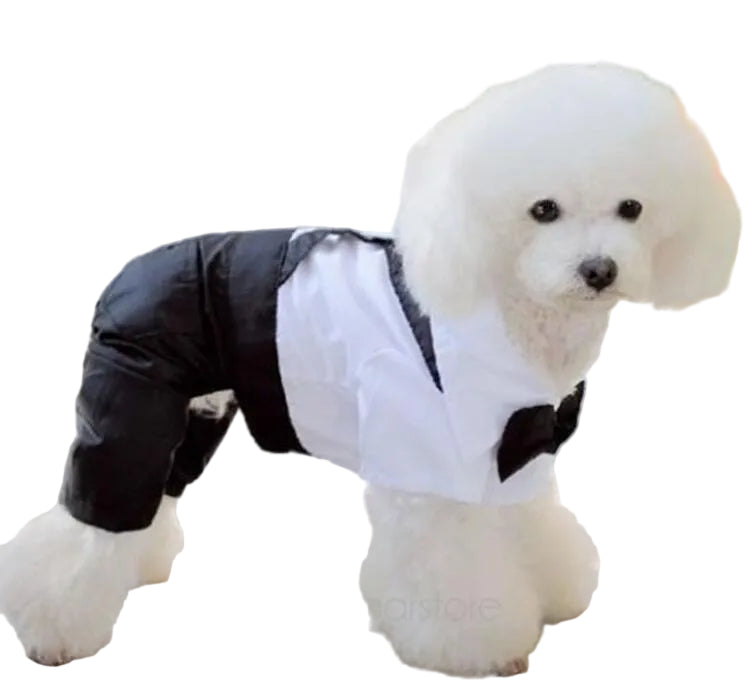 Side view of the Paws For Royalty dog bow tie romper for small dogs, showcasing the elegant one-piece tuxedo-inspired design
