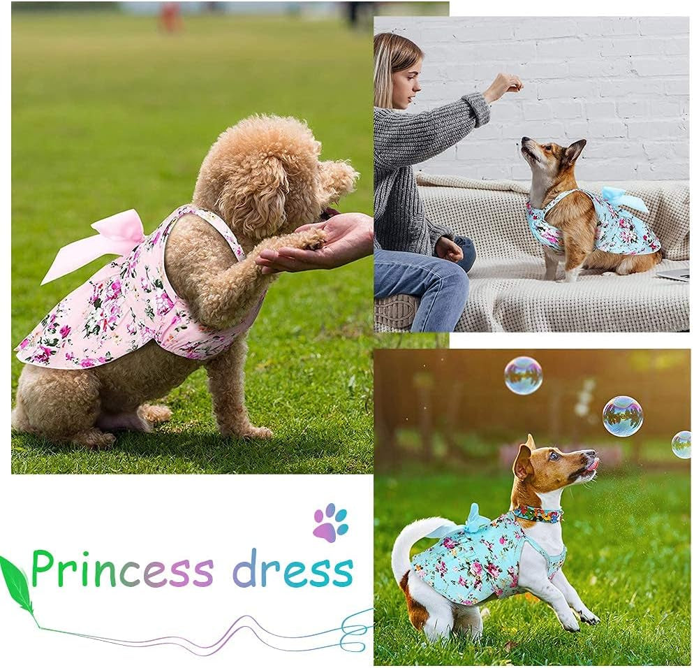 Summer dress on dog during garden party