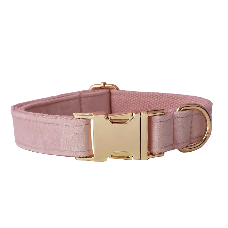 Baby pink velvet dog collar featuring a soft luxurious design and adjustable fit for small dogs and cats