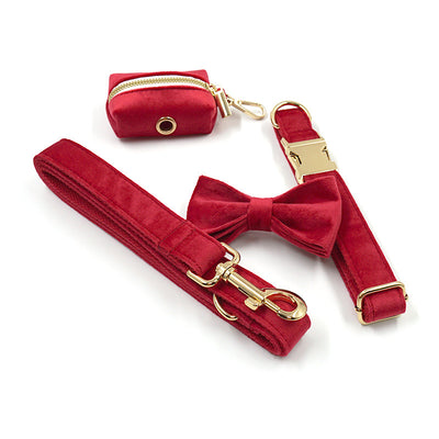 Paws For Royalty red velvet personalized dog collar and leash set with gold hardware