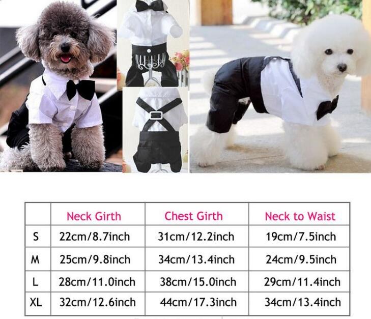 Paws For Royalty dog bow tie romper size guide showing measurements for a comfortable fit on toy and small dog breeds