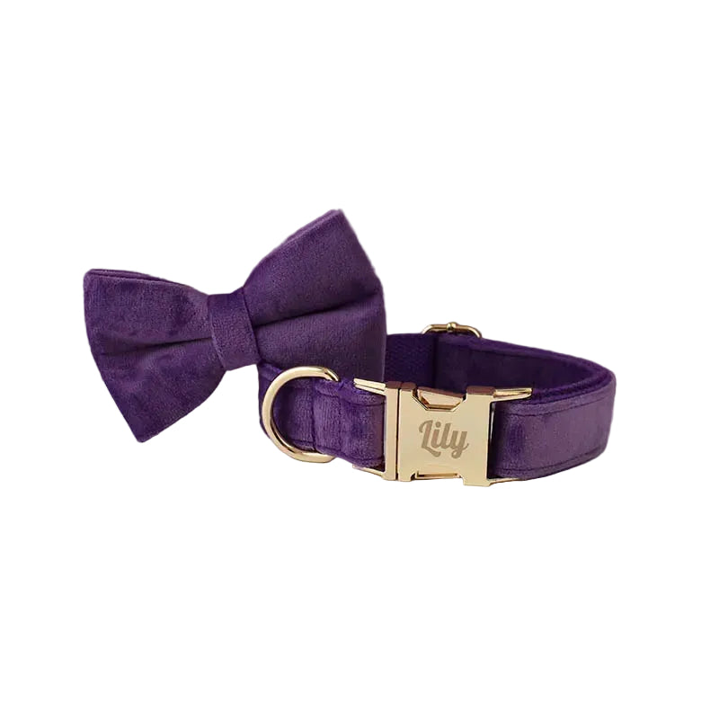 Purple velvet dog collar with matching bow tie featuring a luxurious personalized design for small dogs and cats