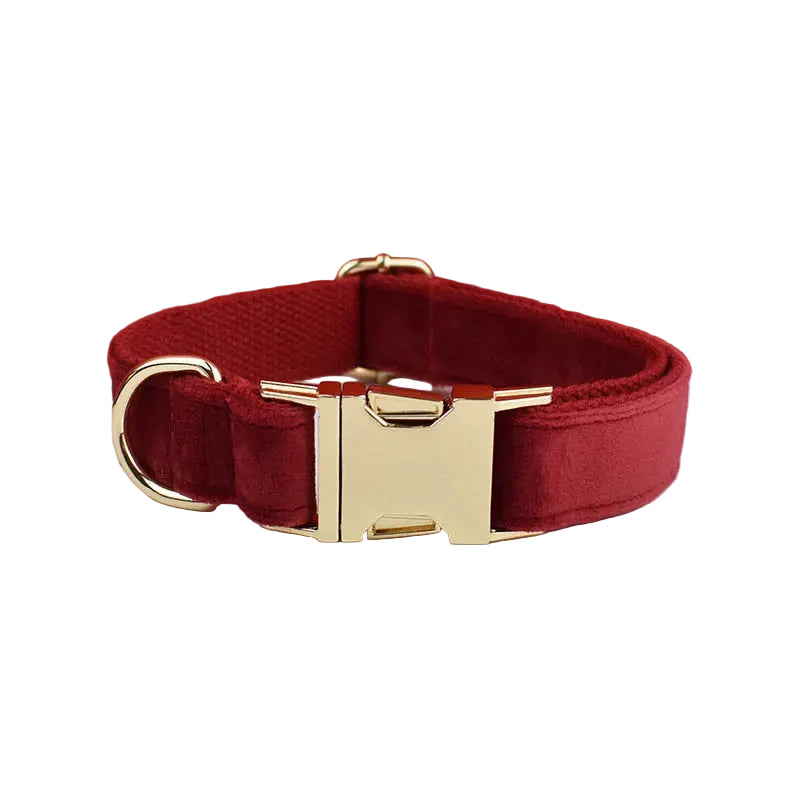 Red personalized velvet dog collar featuring premium hardware and a comfortable adjustable fit for small pets