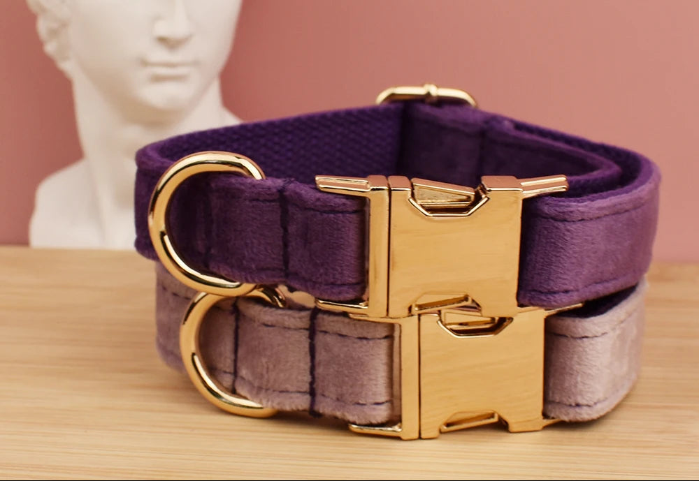 Personalized velvet collar featuring a gold buckle and purple fabric, perfect for pet customization.