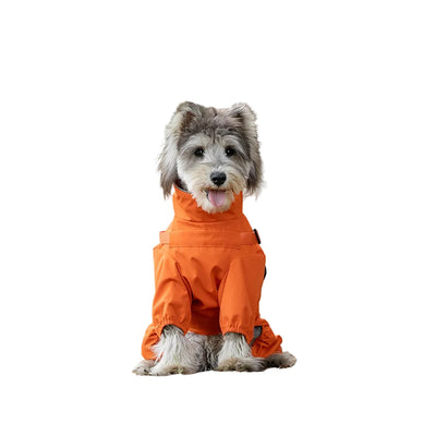 Dog wearing a waterproof raincoat for rainy walks and outdoor adventures