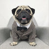 Small dog wearing a full black luxury dog tuxedo party suit with a formal tailored design for weddings and special occasions
