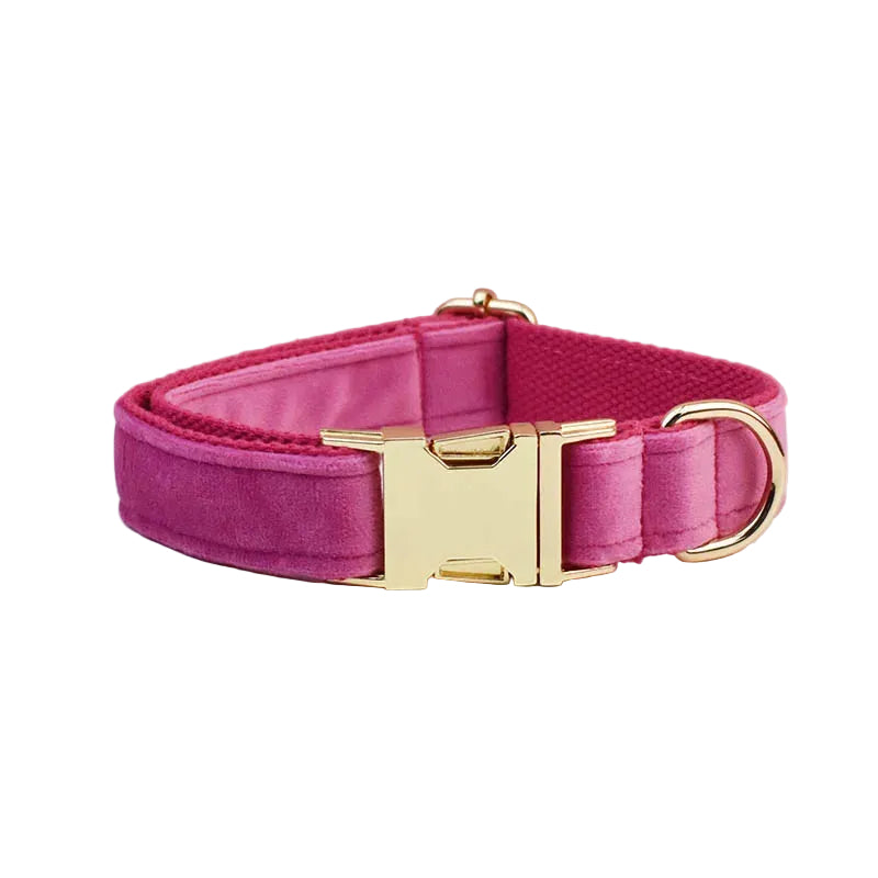 Pink velvet personalized dog collar designed with an adjustable fit and soft comfortable finish