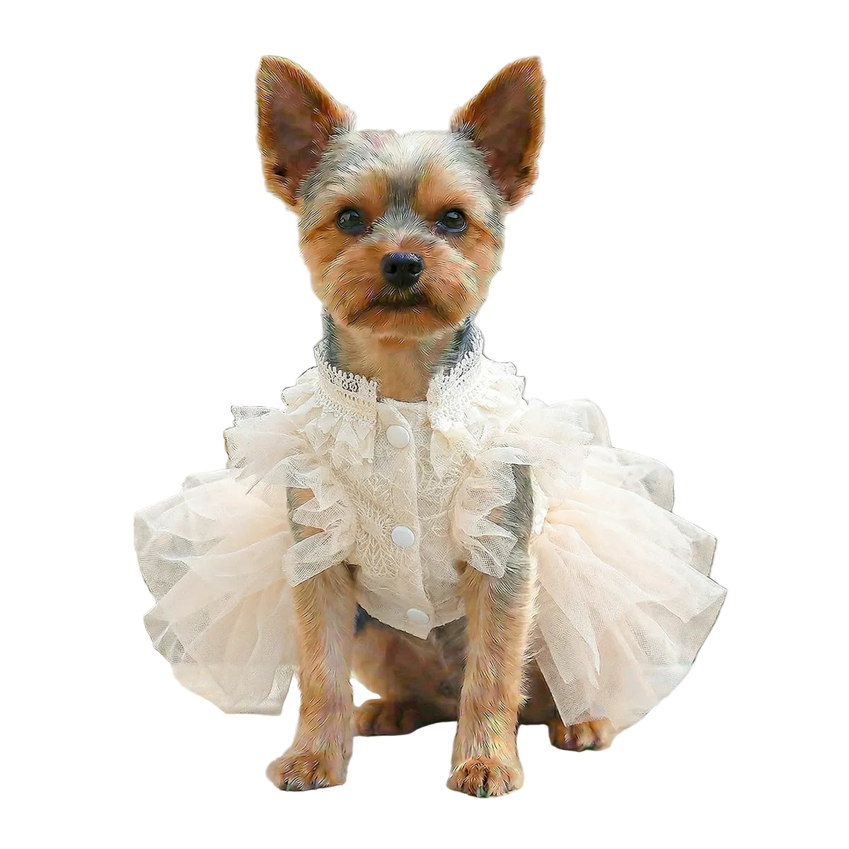 Pet Wedding Dress | Beige Princess Gown for Dogs & Cats