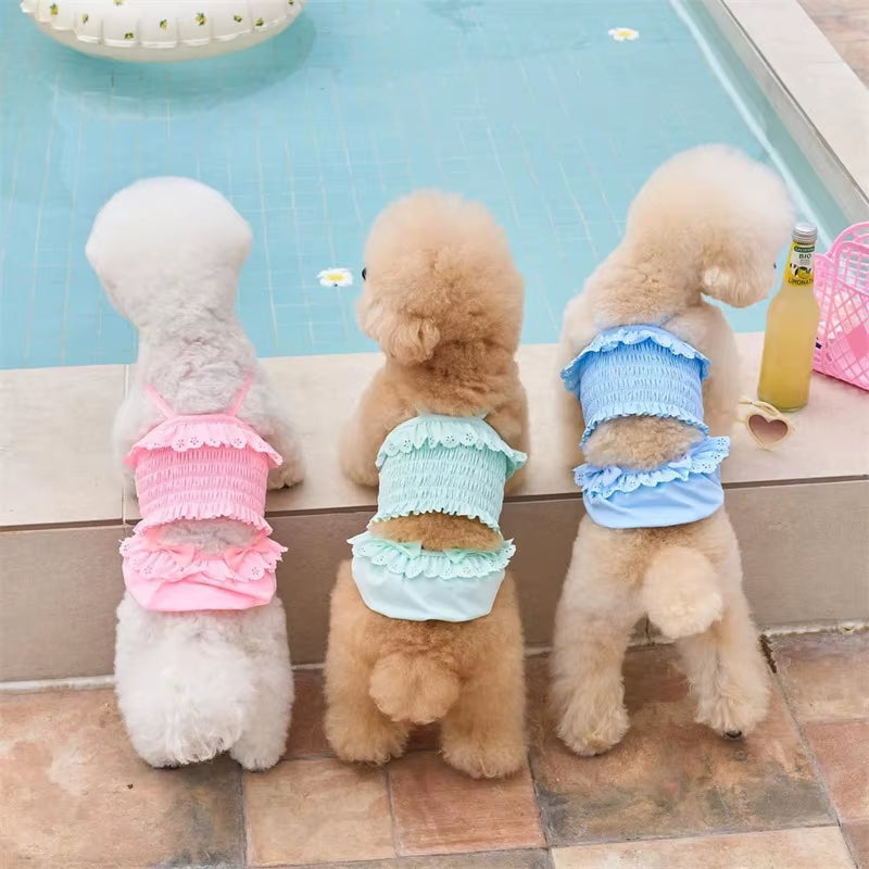 <p><strong>Dog Swimwear</strong></p>