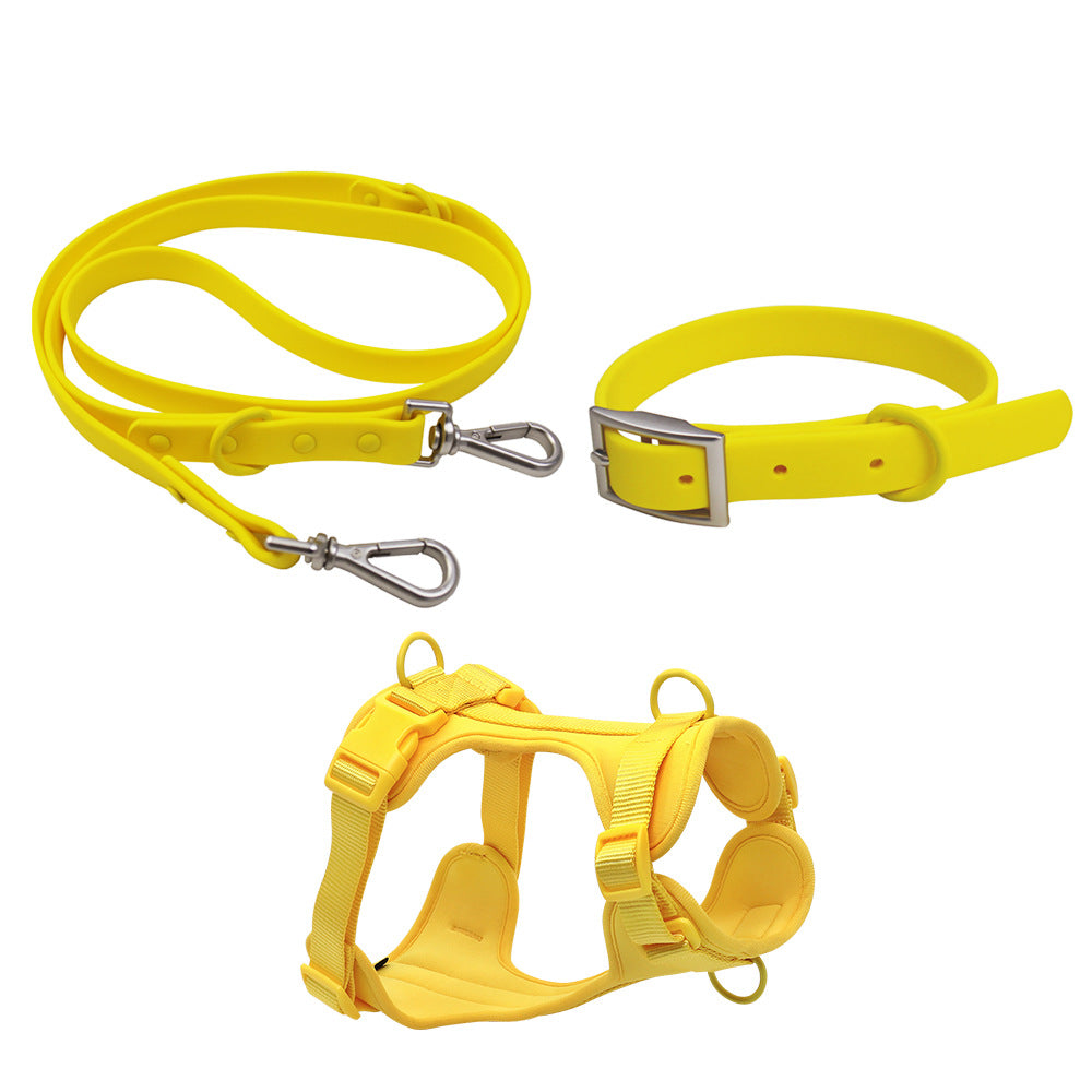 Yellow Paws For Royalty waterproof PVC dog leash, lightweight and durable dog leash for small and medium-sized dogs, perfect for walks, training, and outdoor adventures.