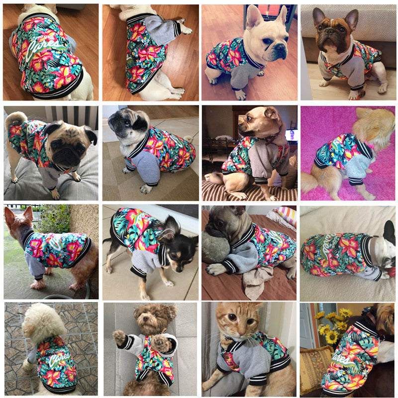 Small dog wearing the Paws For Royalty luxury winter coat, designed to provide warmth and comfort during cold-weather walks