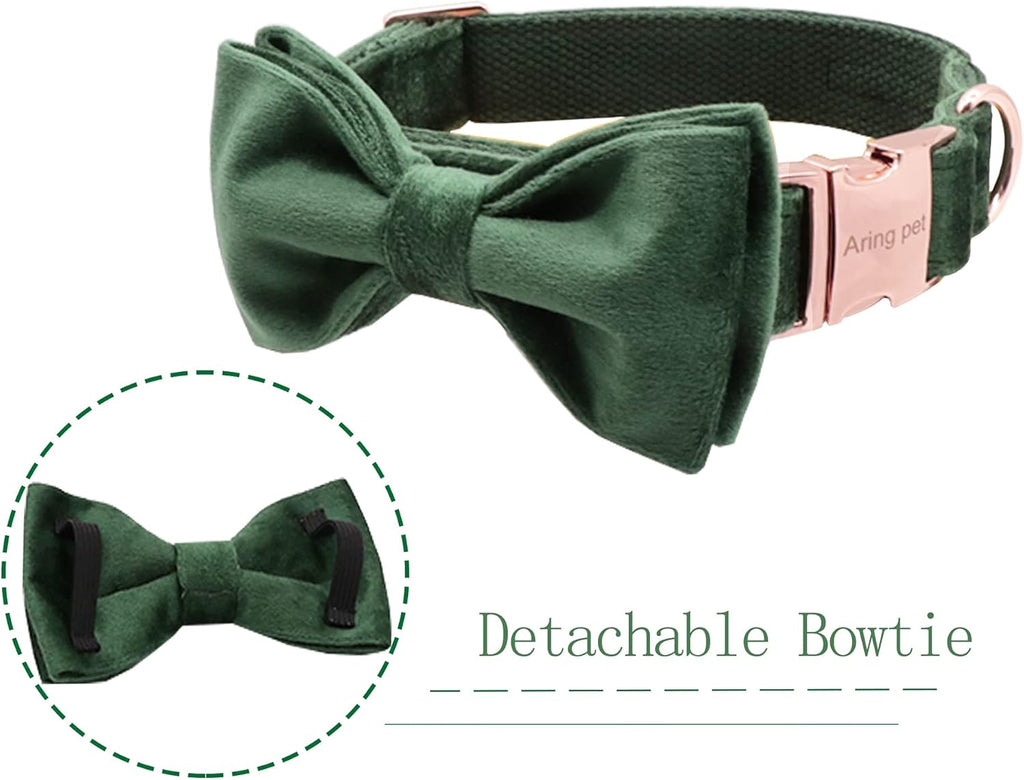 Luxury emerald green velvet dog collar with premium metal buckle, reinforced D-ring, and removable bow tie for small pets