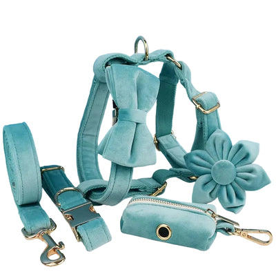 Turquoise velvet dog collar and leash set for small dogs featuring decorative stone accents