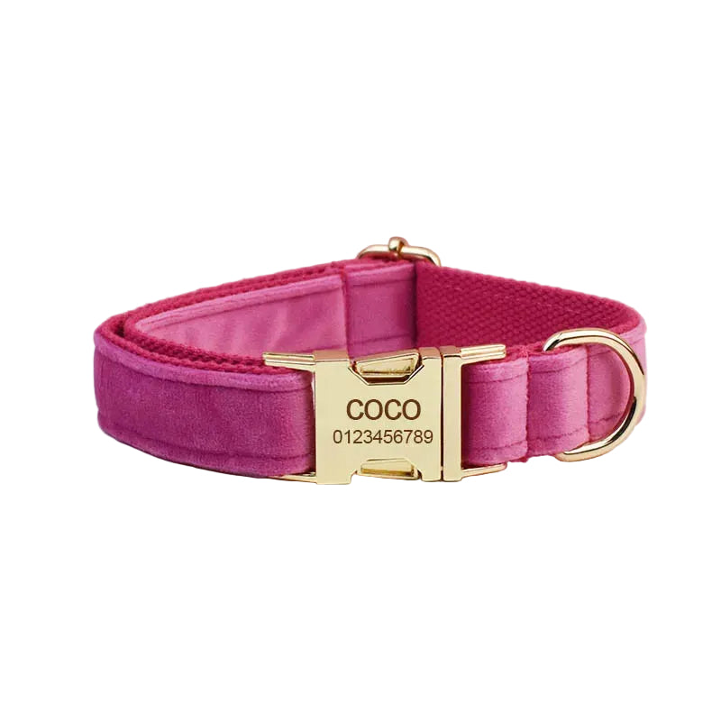 Rose red personalized velvet dog collar featuring a custom engraved nameplate for small dogs and cats