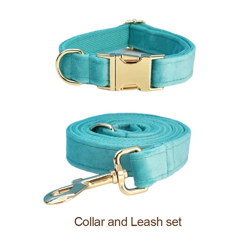 Matching turquoise velvet dog collar and leash set for stylish small dogs