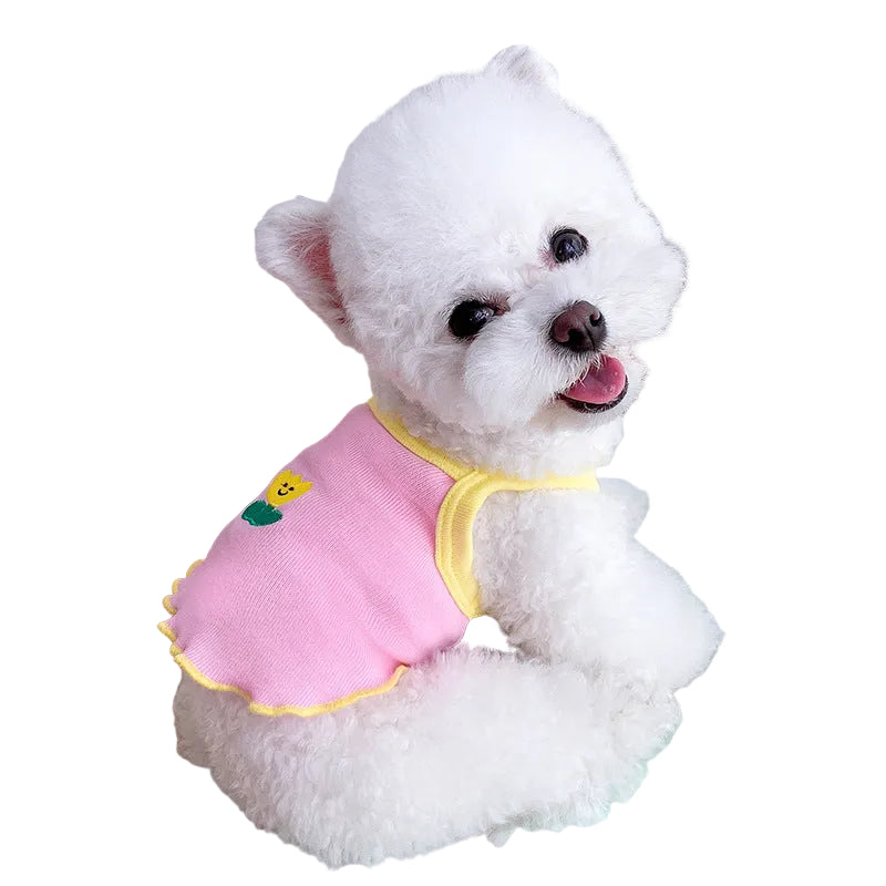 Small dog wearing a pink lightweight summer dress with breathable sheer fabric for stylish spring and summer outings