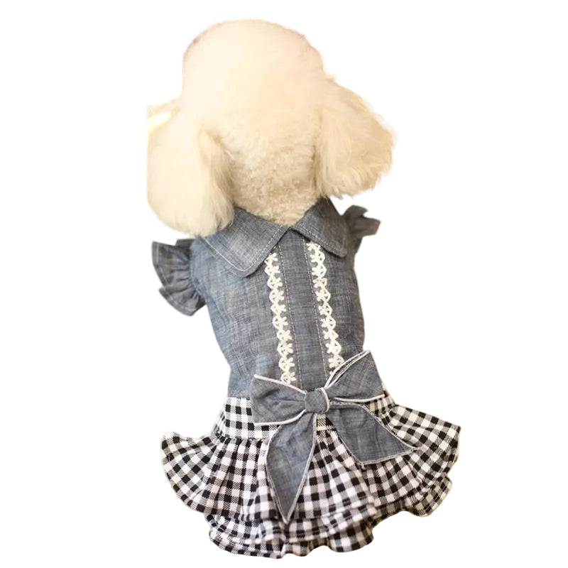 Small dog wearing a black and white grid dog denim dress shown from the back, highlighting the princess-style silhouette