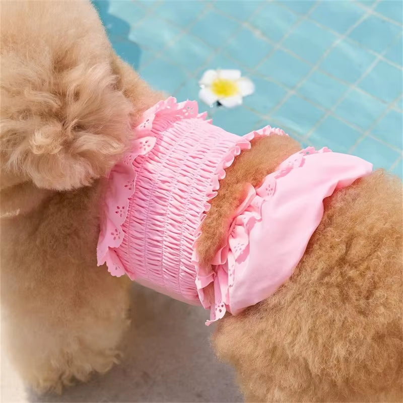 Close-up of a small dog wearing a pink dog swimsuit with matching swim cap showcasing premium fabric and fit