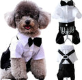 Small dog wearing the Paws For Royalty dog bow tie romper, featuring a tailored formal design for weddings and special occasions