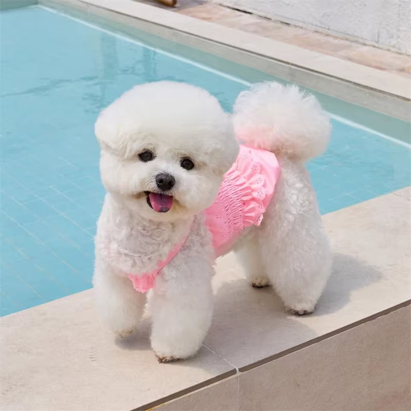 Small dog wearing a pink dog swimsuit with matching swim cap for summer beach and pool fun