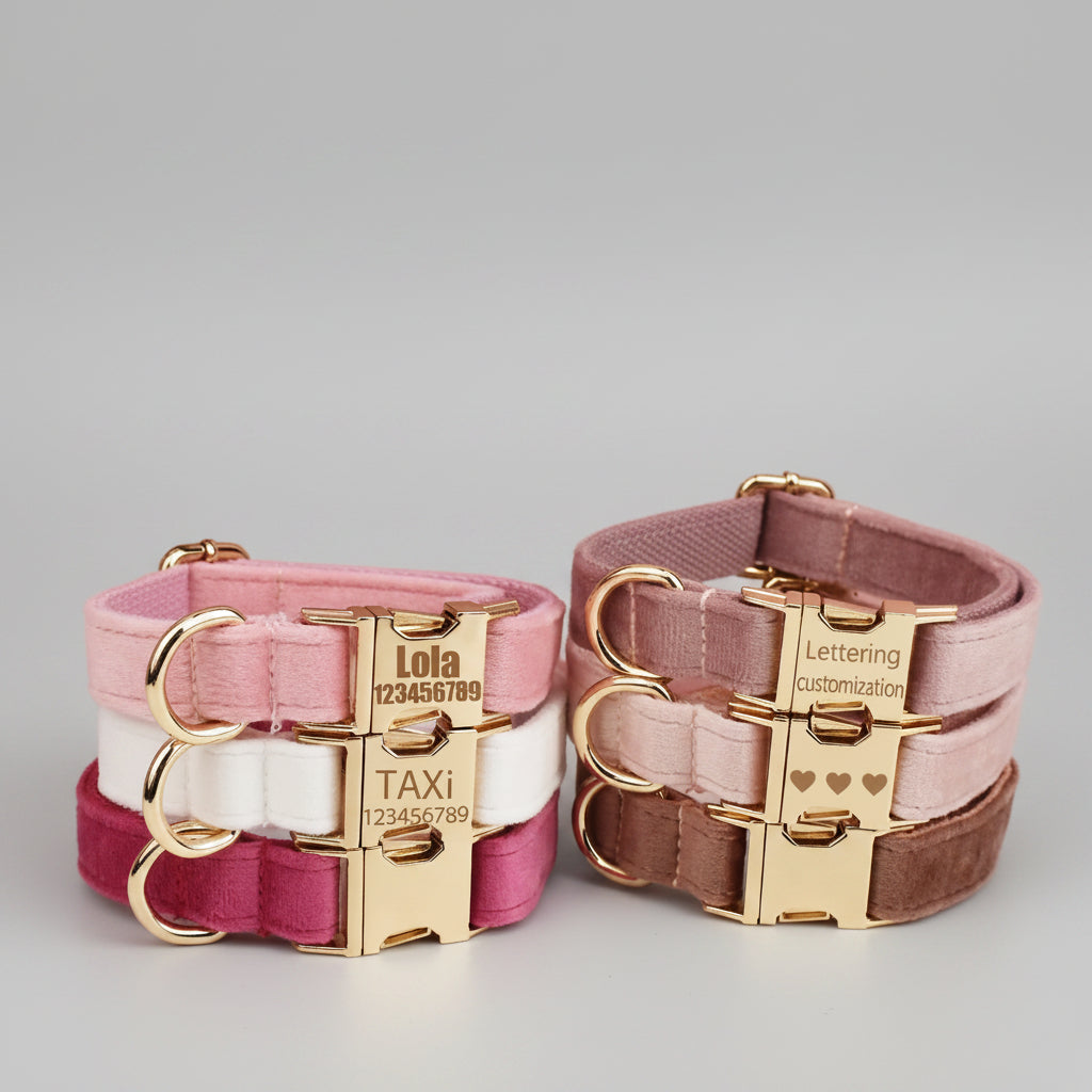 Paws For Royalty personalized velvet dog collars available in multiple colors with matching bow ties for small dogs