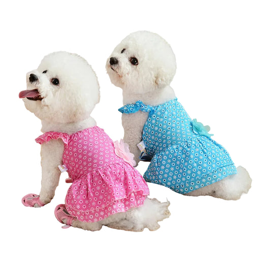Two small dogs wearing matching blue and pink lace princess dresses