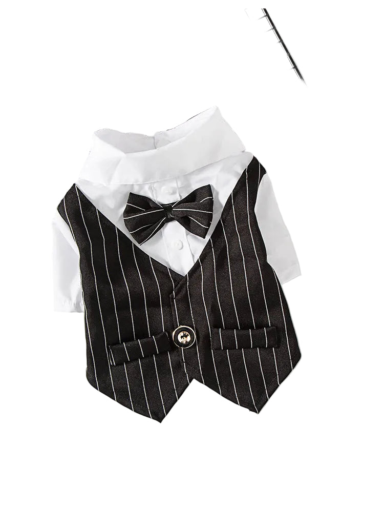 Paws For Royalty grey summer dog wedding suit for small dogs with a lightweight formal shirt and trouser design