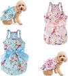 Summer dress with bow-knot on small dog