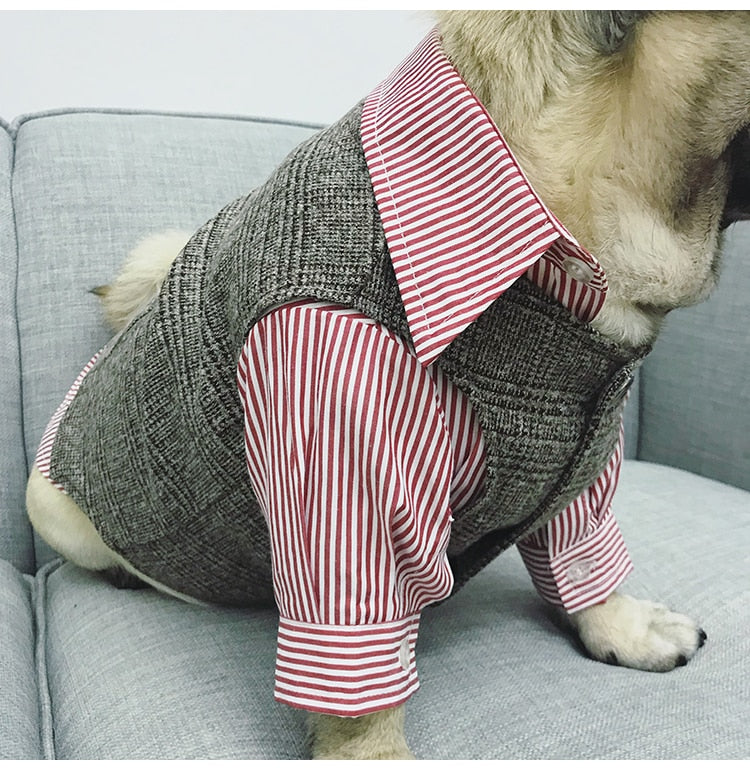 Small dog wearing a red luxury dog tuxedo suit without a tuxedo, perfect for weddings, birthday parties, and formal events