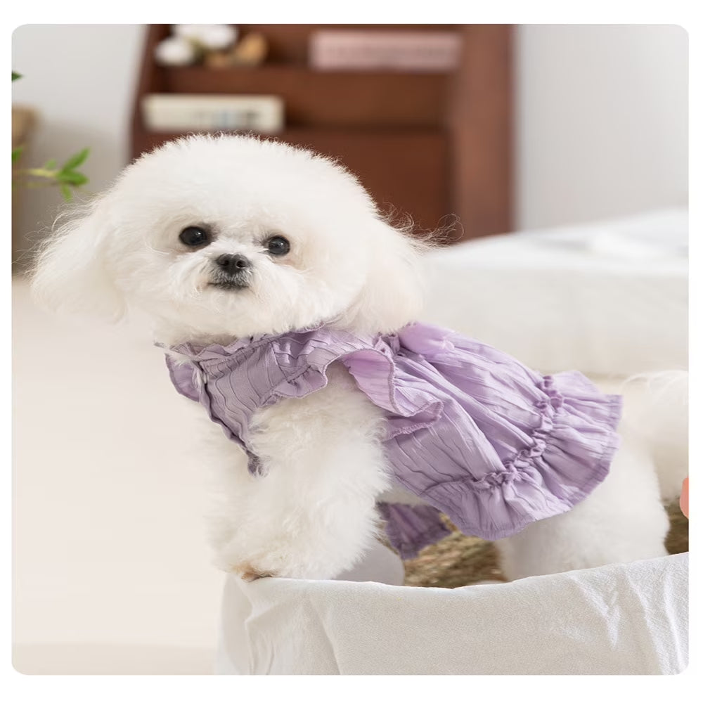 Dog Floral Princess Dress – Side View
Small dog wearing a floral princess dress with tulip print and ruffle detailing, side view