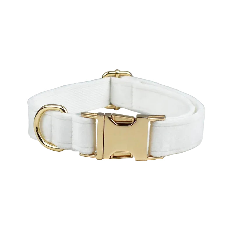 White personalized velvet dog collar with a matching bow tie for small dogs and cats