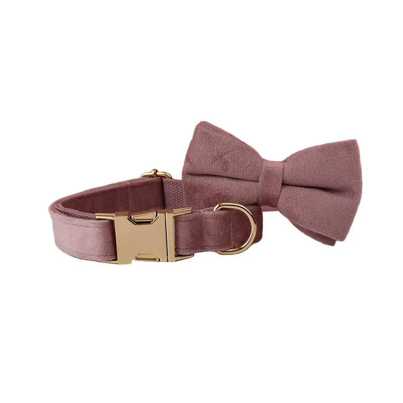 Brown velvet dog collar and matching bow tie set for small dogs and cats with personalized styling