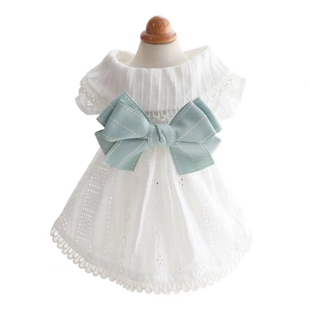 Summer dress on dog during garden party