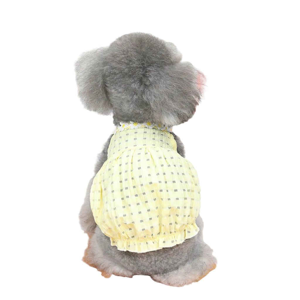 Small dog wearing a yellow Paws For Royalty summer outfit, showcasing stylish and breathable clothing for small dogs during spring and summer.