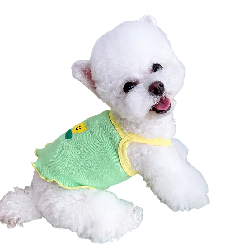 Small dog wearing a green lightweight summer dress in a side view, showcasing the elegant boutique-inspired style