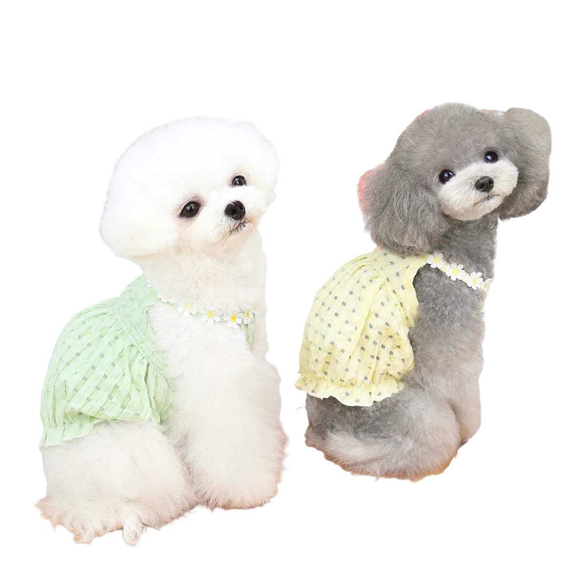 Two small dogs wearing green and yellow Paws For Royalty summer outfits, shown from the side to showcase the comfortable fit and boutique style.