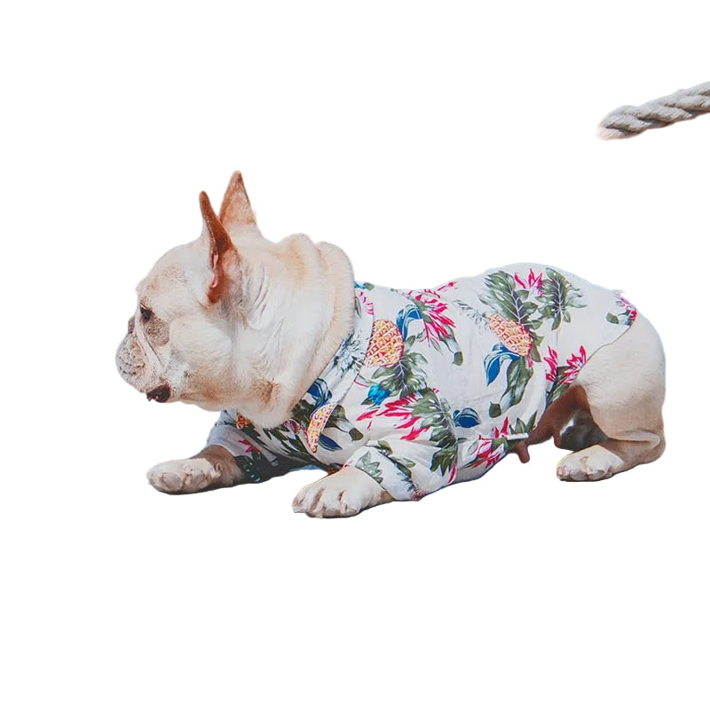 Small dog wearing a white cotton summer shirt for comfortable warm-weather outings
