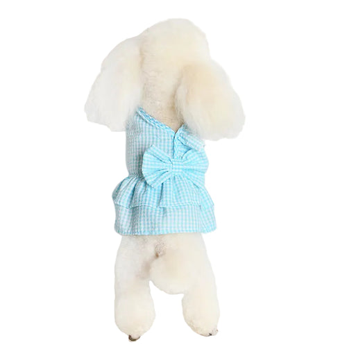 Small dog wearing a sky blue bow princess dress with an elegant design