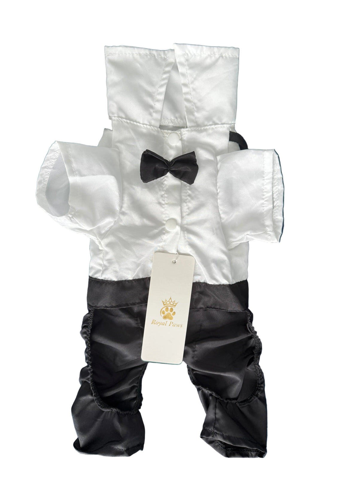 Yorkshire terrier wearing bow-tie-romper-suit