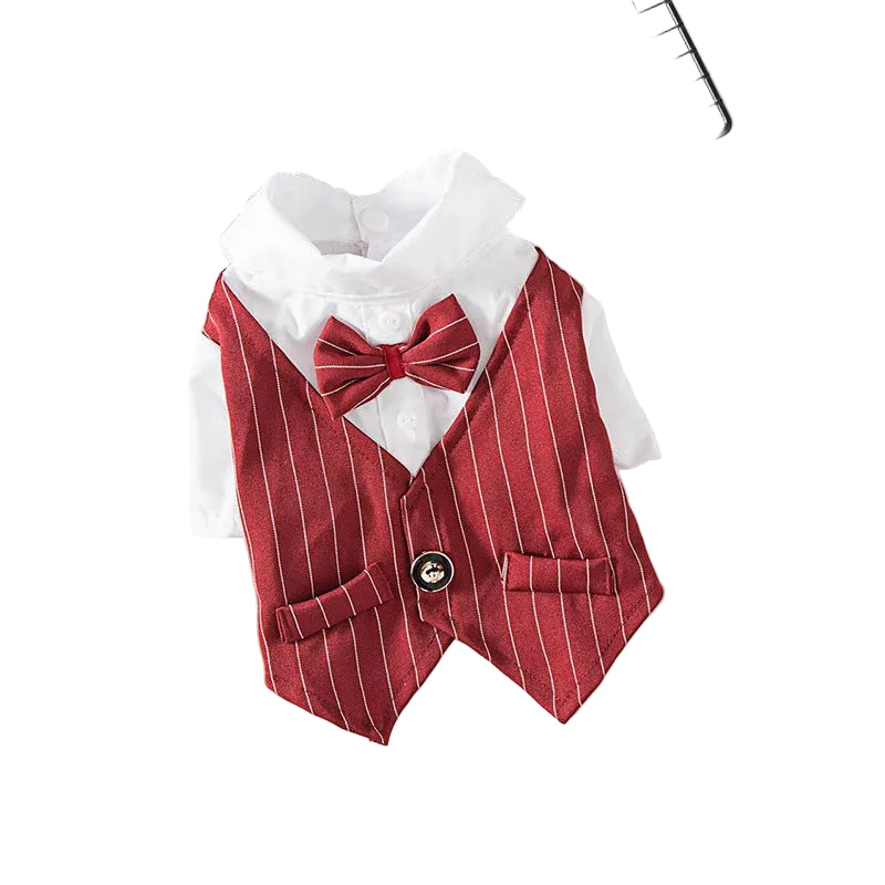 Small dog wearing a red summer wedding suit designed for weddings, ring bearer outfits, garden parties, and special occasions