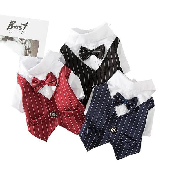 Paws For Royalty summer dog wedding suit for small dogs available in red, black, and grey formal colors