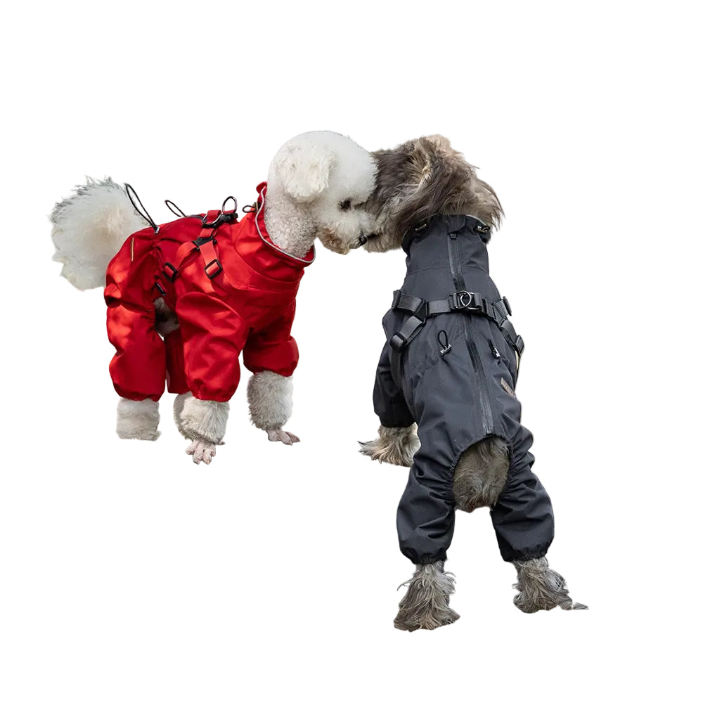 two dogs wearing red and dark color raincoats