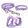 Purple Paws For Royalty waterproof PVC dog leash, durable and chew-resistant leash for small and medium-sized dogs, designed for daily walks and outdoor adventures.